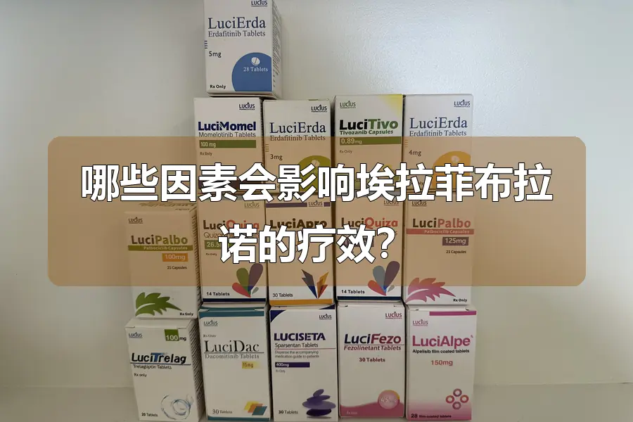 哪些因素会影响埃拉菲布拉诺的疗效？